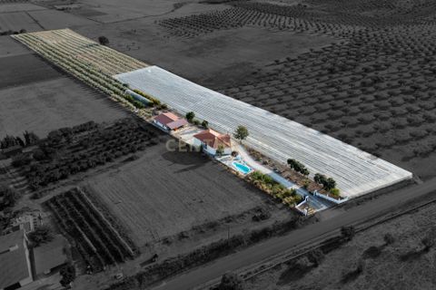 Farm hus i Moura, Beja, Moura - € 670.000 | Ref: C0185-03214 - foto 6