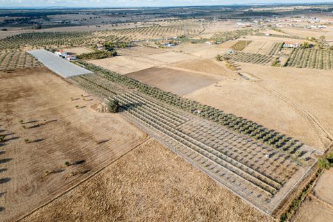 Farm hus i Moura, Beja, Moura - € 670.000 | Ref: C0185-03214 - foto 9