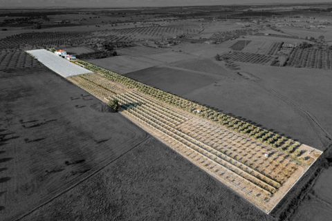 Farm hus i Moura, Beja, Moura - € 670.000 | Ref: C0185-03214 - foto 8