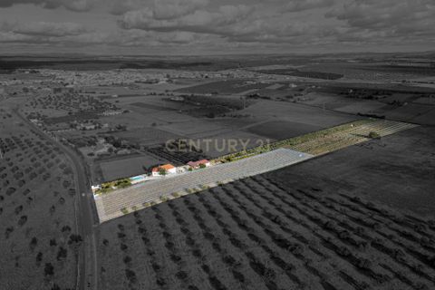 Farm hus i Moura, Beja, Moura - € 670.000 | Ref: C0185-03214 - foto 10