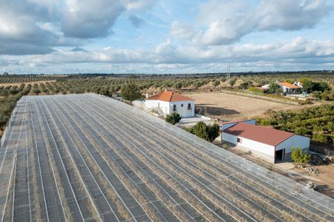 Farm hus i Moura, Beja, Moura - € 670.000 | Ref: C0185-03214 - foto 12