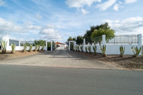 Farm hus i Moura, Beja, Moura - € 670.000 | Ref: C0185-03214 - foto 3