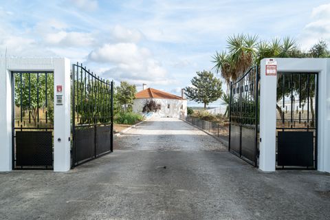 Farm hus i Moura, Beja, Moura - € 670.000 | Ref: C0185-03214 - foto 5