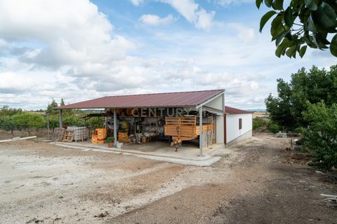 Farm hus i Moura, Beja, Moura - € 670.000 | Ref: C0185-03214 - foto 27