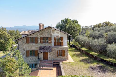 Landejendom i Gubbio, Perugia, Gubbio - € 450.000 | Ref: CBI160-2680-81 - foto 13
