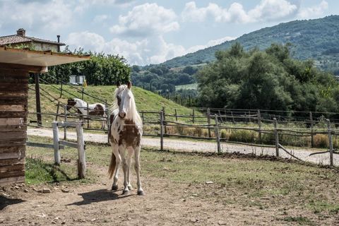 Landejendom i Umbertide, Perugia, Umbertide - € 1.680.000 | Ref: CBI160-2553-146 - foto 22