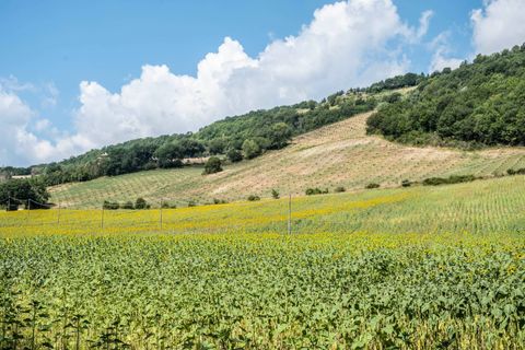 Landejendom i Umbertide, Perugia, Umbertide - € 1.680.000 | Ref: CBI160-2553-146 - foto 24