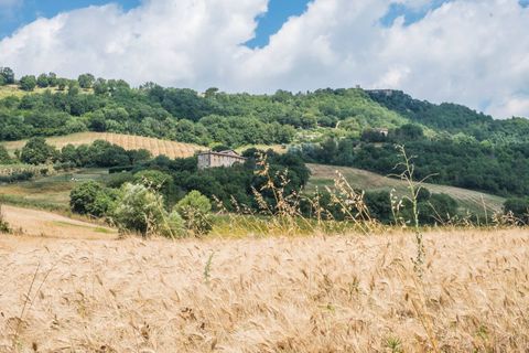 Landejendom i Umbertide, Perugia, Umbertide - € 1.680.000 | Ref: CBI160-2553-146 - foto 26