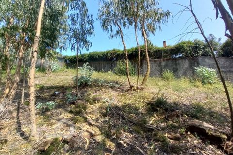 Villa i Barcelos, Braga, Barcelos - € 550.000 | Ref: 119/23 - foto 13