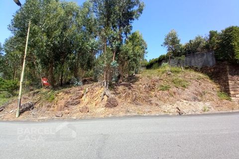 Villa i Barcelos, Braga, Barcelos - € 550.000 | Ref: 119/23 - foto 14