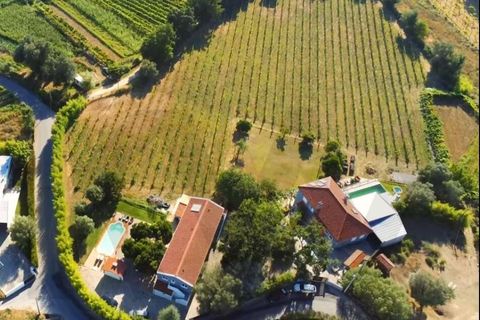 Farm i Moncao, Viana do Castelo, Moncao - € 1.850.000 | Ref: KWPT-022889 - foto 1
