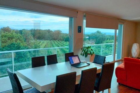 Farm i Moncao, Viana do Castelo, Moncao - € 1.850.000 | Ref: KWPT-022889 - foto 7