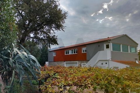 Farm i Moncao, Viana do Castelo, Moncao - € 1.850.000 | Ref: KWPT-022889 - foto 9