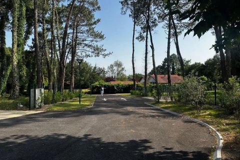 Tomt i Le Barp, Gironde, Le Barp - € 109 500 | Ref: TH-BARP-800 - foto 3