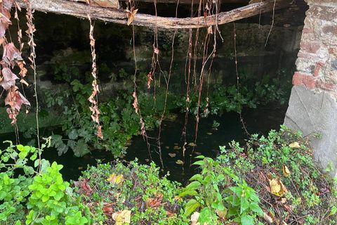 Villa i Capannori, Lucca, Capannori - € 130.000 | Ref: 2025Lu050 - foto 5