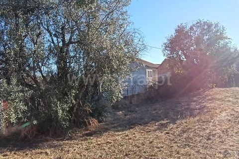 Helårsgrund i Mangualde, Viseu, Mangualde - € 17.000 | Ref: 389250225 - foto 2