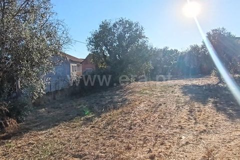 Helårsgrund i Mangualde, Viseu, Mangualde - € 17.000 | Ref: 389250225 - foto 3