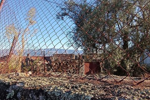 Helårsgrund i Mangualde, Viseu, Mangualde - € 17.000 | Ref: 389250225 - foto 5