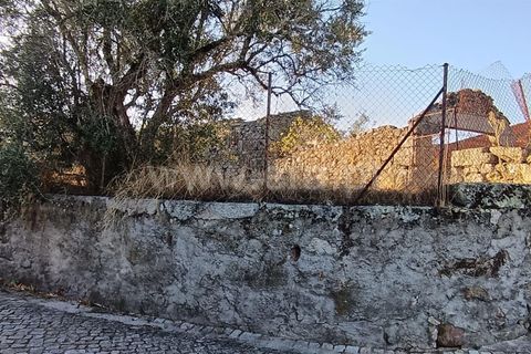 Helårsgrund i Mangualde, Viseu, Mangualde - € 17.000 | Ref: 389250225 - foto 7