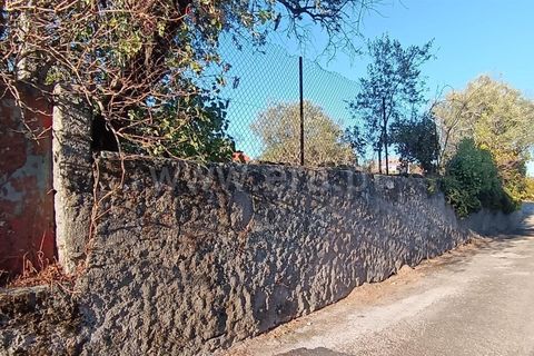 Helårsgrund i Mangualde, Viseu, Mangualde - € 17.000 | Ref: 389250225 - foto 8