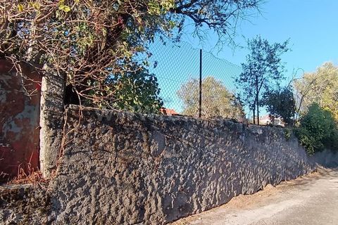 Helårsgrund i Mangualde, Viseu, Mangualde - € 17.000 | Ref: 389250225 - foto 9