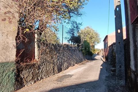 Helårsgrund i Mangualde, Viseu, Mangualde - € 17.000 | Ref: 389250225 - foto 10