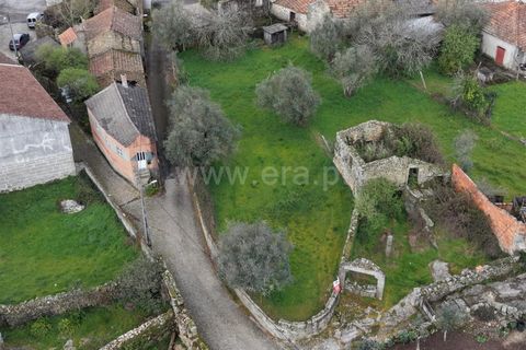 Helårsgrund i Mangualde, Viseu, Mangualde - € 17.000 | Ref: 389250225 - foto 12