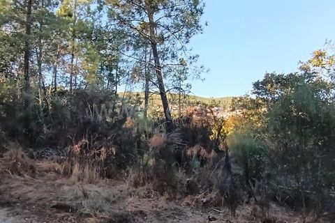 Helårsgrund i Penalva do Castelo, Viseu, Penalva do Castelo - € 22.000 | Ref: 389250226 - foto 6
