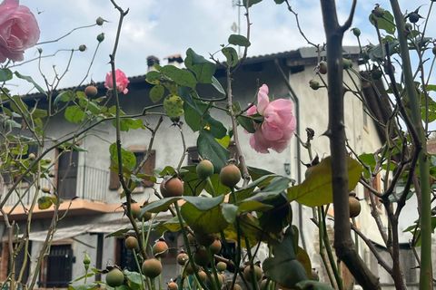 Landejendom i Robella, Asti, Robella - € 130.000 | Ref: 14845 - foto 4