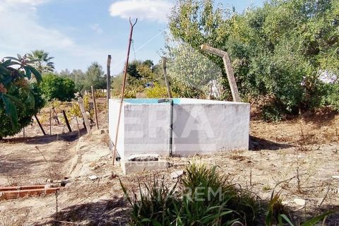 Villa i Vale de Santarem, Santarem, Vale de Santarem - € 530.000 | Ref: 12051 - foto 19