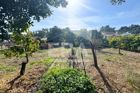 Villa i Vale de Santarem, Santarem, Vale de Santarem - € 530.000 | Ref: 12051 - foto 20