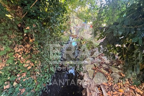 Villa i Vale de Santarem, Santarem, Vale de Santarem - € 530.000 | Ref: 12051 - foto 21