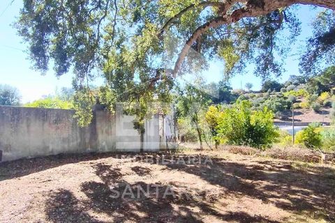 Villa i Vale de Santarem, Santarem, Vale de Santarem - € 97.000 | Ref: 12047 - foto 2
