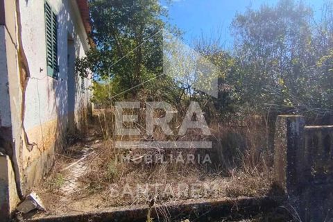 Villa i Vale de Santarem, Santarem, Vale de Santarem - € 97.000 | Ref: 12047 - foto 6