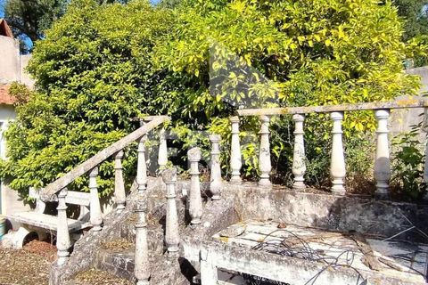 Villa i Vale de Santarem, Santarem, Vale de Santarem - € 97.000 | Ref: 12047 - foto 7