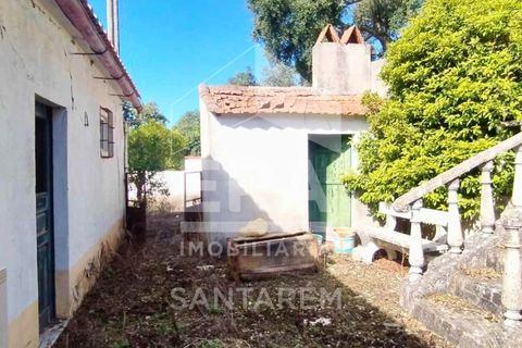 Villa i Vale de Santarem, Santarem, Vale de Santarem - € 97.000 | Ref: 12047 - foto 8