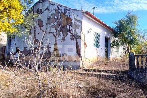Villa i Vale de Santarem, Santarem, Vale de Santarem - € 97.000 | Ref: 12047 - foto 10