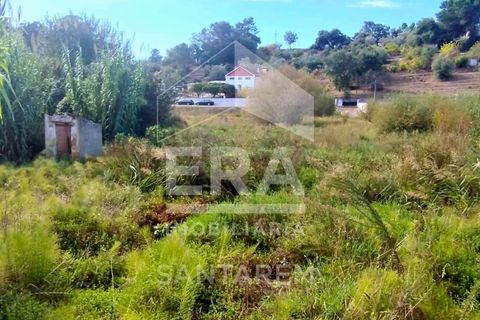 Villa i Vale de Santarem, Santarem, Vale de Santarem - € 97.000 | Ref: 12047 - foto 11