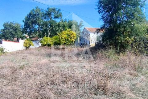 Villa i Vale de Santarem, Santarem, Vale de Santarem - € 97.000 | Ref: 12047 - foto 12