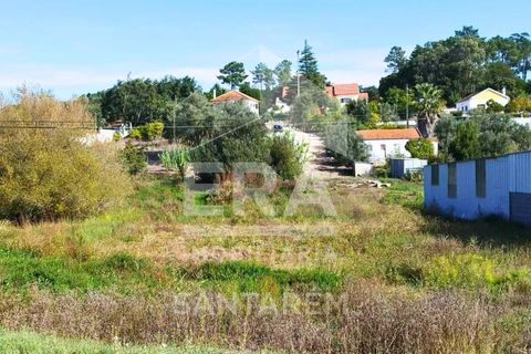 Villa i Vale de Santarem, Santarem, Vale de Santarem - € 97.000 | Ref: 12047 - foto 16