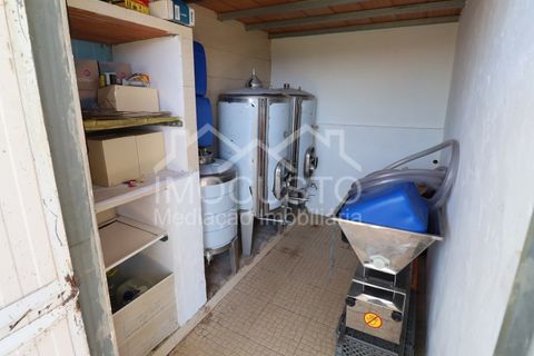 Gård i Odeleite, Faro, Odeleite - € 430 000 | Ref: 293 - foto 28