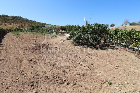 Gård i Odeleite, Faro, Odeleite - € 430 000 | Ref: 293 - foto 29