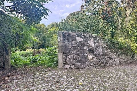 Helårsgrund i Caminha, Viana do Castelo, Caminha - € 130.000 | Ref: 2727 - foto 2