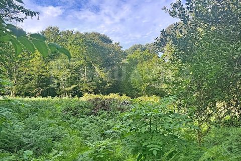 Helårsgrund i Caminha, Viana do Castelo, Caminha - € 130.000 | Ref: 2727 - foto 4