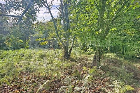 Helårsgrund i Caminha, Viana do Castelo, Caminha - € 130.000 | Ref: 2727 - foto 6