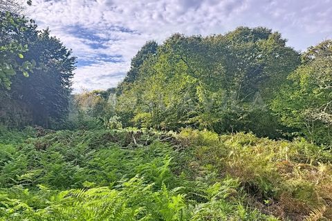 Helårsgrund i Caminha, Viana do Castelo, Caminha - € 130.000 | Ref: 2727 - foto 7