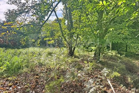 Helårsgrund i Caminha, Viana do Castelo, Caminha - € 130.000 | Ref: 2727 - foto 8