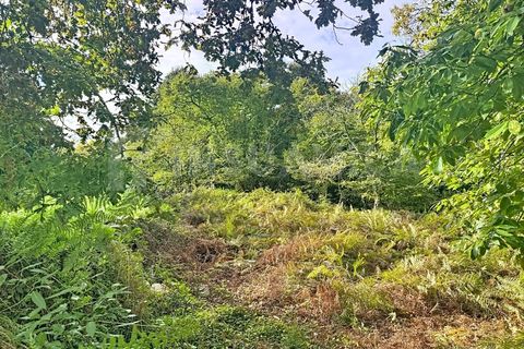 Helårsgrund i Caminha, Viana do Castelo, Caminha - € 130.000 | Ref: 2727 - foto 9