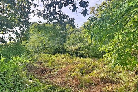 Helårsgrund i Caminha, Viana do Castelo, Caminha - € 130.000 | Ref: 2727 - foto 10