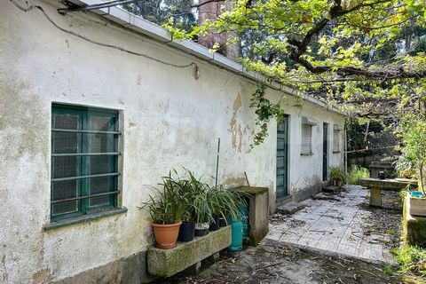 Villa i Caminha, Viana do Castelo, Caminha - € 220.000 | Ref: 2634 - foto 4